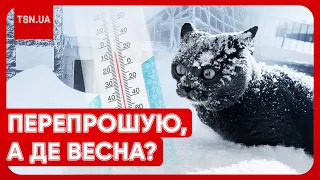 ❄️🥶 СНІГ І МОРОЗ У КВІТНІ! Україну знову накриває лютий холод! Коли нарешті чекати тепла?!