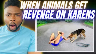 🇬🇧BRIT Reacts To WHEN ANIMALS GET REVENGE ON KARENS!