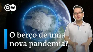 Por que a próxima pandemia pode começar no Polo Norte