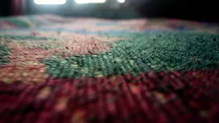 The World From an Ant's  Eyes (1080p).
