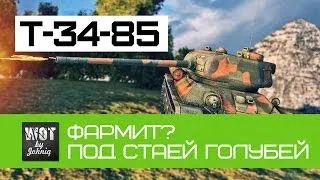 T-34-85 Фармит? (Под стаей чернобыльских голубей)