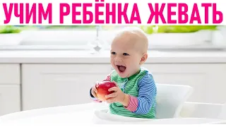 ТВЕРДАЯ ПИЩА ДЛЯ МАЛЫША | Как научить ребенка жевать твердую пищу