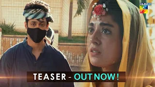 Mere Damad - Teaser 01 - Coming Soon - #noorkhan #shaguftaejaz - HUM TV