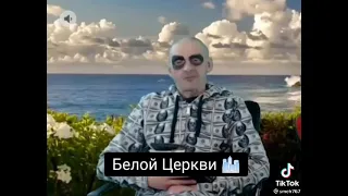 Мопс дядя пес лучшее