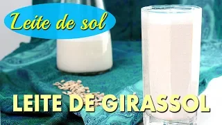 LEITE DE LUZ DO SOL: conheça o LEITE DE SEMENTE DE GIRASSOL! Sem lactose