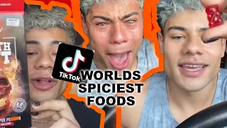 WORLD SPICEST SNACKS! *EXTREME REACTION* @RAMIZEINN TIKTOK COMPILATION