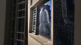 Magnet Window Cleaner #gadgets #shortvideo