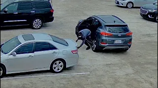 HPD: Surveillance video shows thieves stealing purse from woman in her car