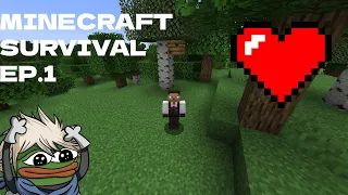 A New Beginning :Minecraft Survival ep 1