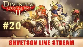 Прохождение Divinity Original Sin 2 (Часть 20) | Академия | Веселый кооператив