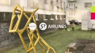 S7 Airlines. Жираф