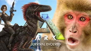 Return to Monke - Ark Survival Evolved - The Game I Thought I Was Done Playing!