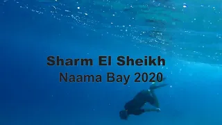 Подводный мир Шарм эль Шейха, бухта Наама - декабрь 2020