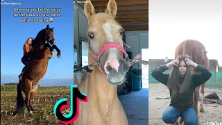 11 Minutes Of Reletable HORSE - TikTok Compilation 2023 #11