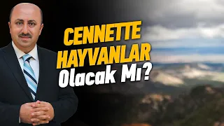 Hangi Hayvanlar Cennete Girebilecek? | Ömer Döngeloğlu