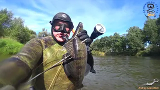 DEAF Подводная охота река Болва 07/09/2021