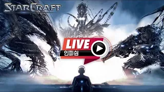 24.05.20(월) 【 인피쉰 생방송 다시보기 】 스타 빨무 스타크래프트 Starcraft