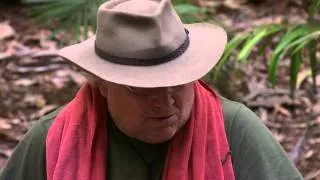 How Many Episodes Of Doctor Who Was Colin Baker In - I'm A Celebrity Get Me Out Of Here