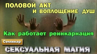 Половой акт и воплощение душ.  Как работает реинкарнация. Сексуальная Магия