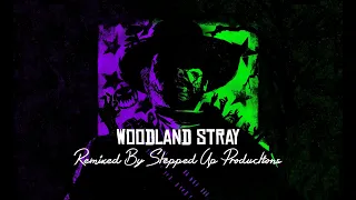 Red Dead Redemption 2 (Unheard): Woodland Stray