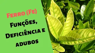 (Ferro Fe) para as plantas Funções, Sintomas, Diagnostico e adubos .I. Série Nutrientes