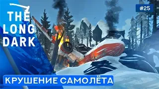 Упавшая звезда - The Long Dark: Wintermute - 25