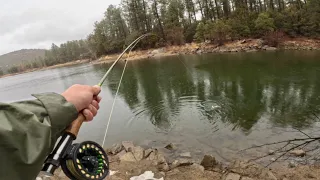 This is why I FISH in the RAIN! (Endless Bite)