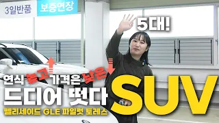 팰리세이드 떳다! 캠핑? 패밀리카? 중고차 SUV 5대!!