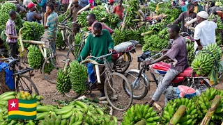 Mass food market day in Togo. Cost of living in west Africa 2024. $40 weekly food shopping in Togo