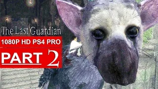 THE LAST GUARDIAN Gameplay Walkthrough Part 2 [1080p HD PS4 PRO] - No Commentary (FULL GAME)