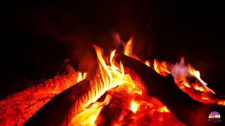 Красивый костер на природе | Звуки огня и треск горящих поленьев, для медитации, для снятия стресса