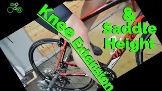 Knee Extension & Saddle Height | Rules, Nuances, and the Ankle's Role