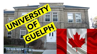 CHEAPEST UNIVERSITY IN CANADA FOR INTERNATIONAL STUDENTS | GUELPH INTERESTING FACTS