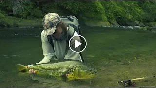 Fly Fishing for Dorado in Bolivia in TSIMANE 3X – Season Two