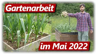 Gartenarbeit Mai 2022 | Gemüsegarten, Vorgarten, Balkon | Umtopfen, Auspflanzen und Ernten