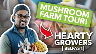 Mushroom Farm Tour & Interview - Hearty Growers with Terry Vaz | Mushroom Farming | GroCycle