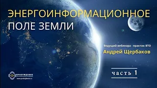 Энергоинформационное поле Земли / запись вебинара практика ВТО Андрея Щербакова, часть 1
