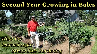 SECOND YEAR GROWING VEGETABLES IN STRAW BALES What I’ve Learned So Far