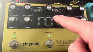 Get The 'U2' Delay Tone With A STRYMON VOLANTE | The Edge Dotted Eighth Note