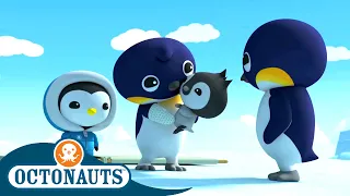 Octonauts - The Emperor Penguins | Cartoons for Kids | Underwater Sea Education