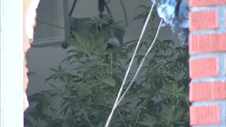 Up in Smoke: Authorities investigating possible marijuana grow house after fire