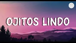 Bad Bunny (ft. Bomba Estéreo) - Ojitos Lindo (Letra/Lyrics)  | 1 Hour Version