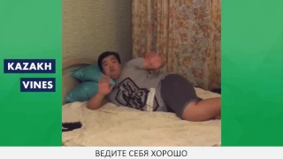 ZHEKA FATBELLY ЛУЧШИЕ ВАЙНЫ