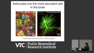 How do Astrocytes Regulate Neural Function in Health and Disease?