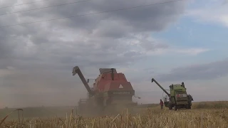 Żniwa 2015 Dronningborg D7500 & Claas Mercator 75