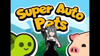 We're gonna win! Super Auto Pets