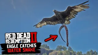 Eagle Catches WATER SNAKE in Red Dead Redemption 2 PC 4K