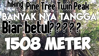 FRASER'S HILL PAHANG : PINE TREE TWIN PEAK |VLOG | HIKING 26/07/2020 |