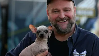 Warren County, TN Puppy Mill, 10 Years Later