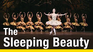 The Sleeping Beauty Trailer | The National Ballet of Canada